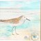 Sandpiper Beach by Cynthia Coulter 14" x 14" Canvas Wall Art (Set of 2)
